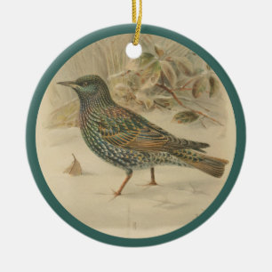 Adorno De Cerámica Ilustracion vintage del estrellamiento