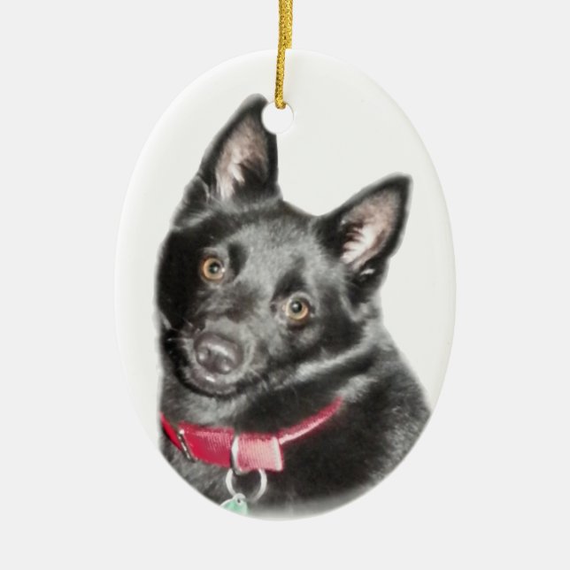 Adorno De Cerámica Imagen del Schipperke (Frente)