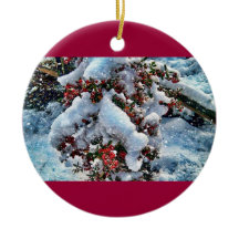 Imágenes de la nieve en un orniment