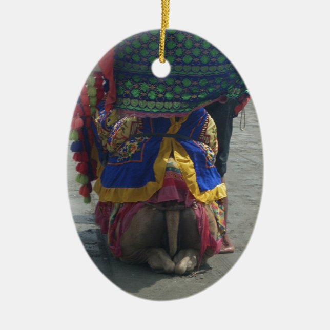 Adorno De Cerámica Impresión/gráfico de arte capilar caprichoso (Frente)