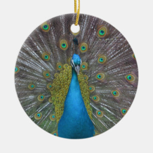 Adorno De Cerámica Impresionante pavo real