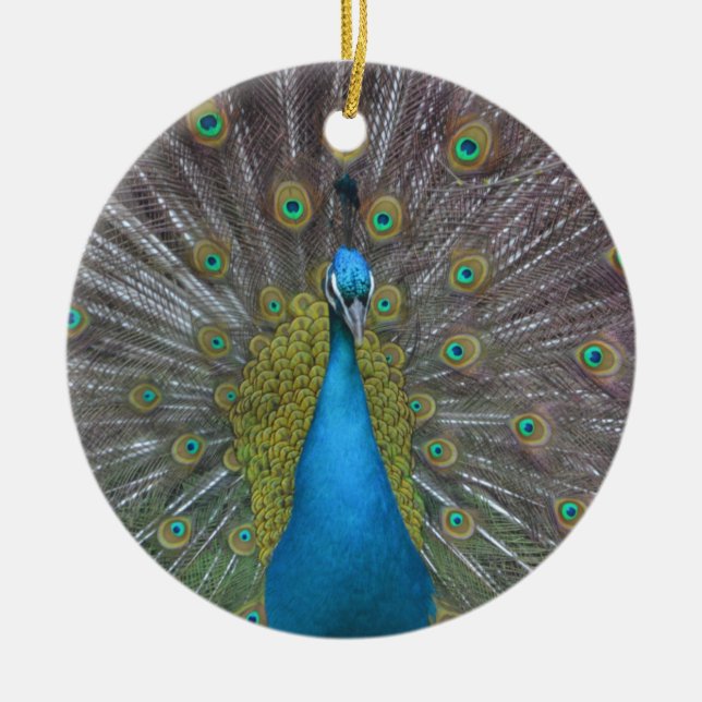 Adorno De Cerámica Impresionante pavo real (Frente)