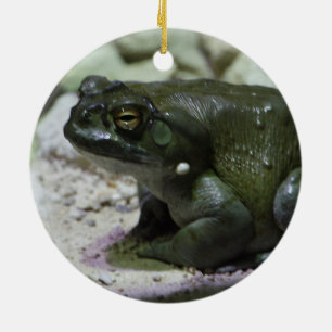 Adorno De Cerámica Incilius alvarius