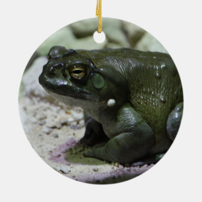 Adorno De Cerámica Incilius alvarius (Atrás)