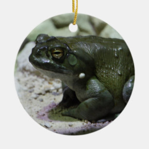 Adorno De Cerámica Incilius alvarius