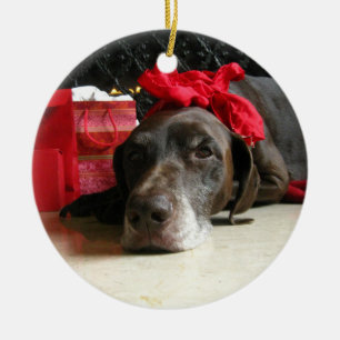 Adorno De Cerámica Indicador de pelo corto alemán del navidad