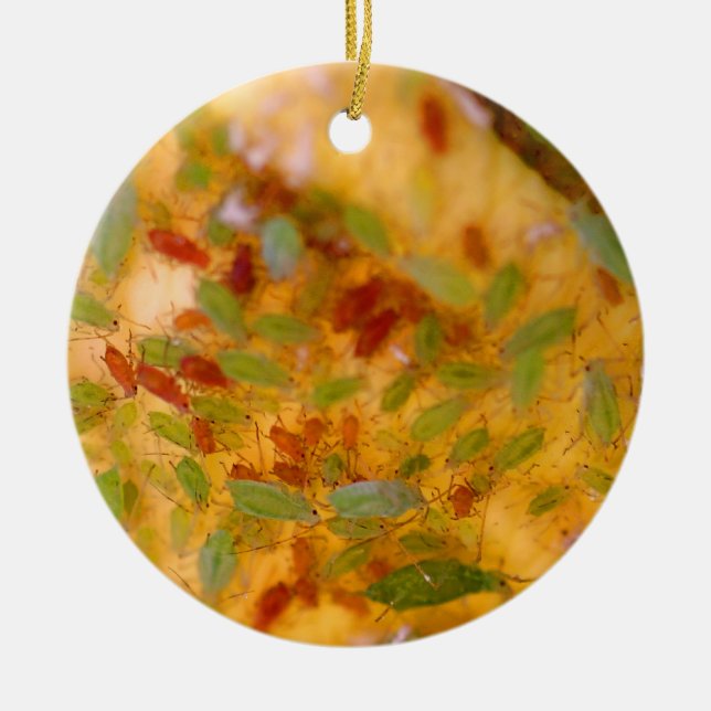 Adorno De Cerámica Infestación de los áfidos (Frente)