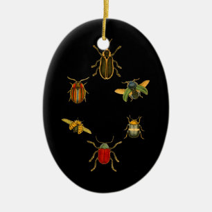 Adorno De Cerámica Insectos