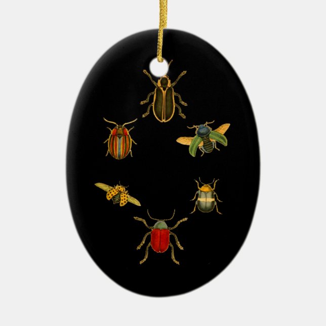 Adorno De Cerámica Insectos (Frente)
