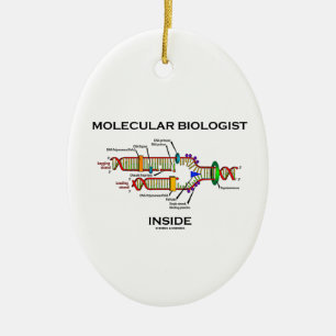 Adorno De Cerámica Interior del biólogo molecular (réplica de la DN