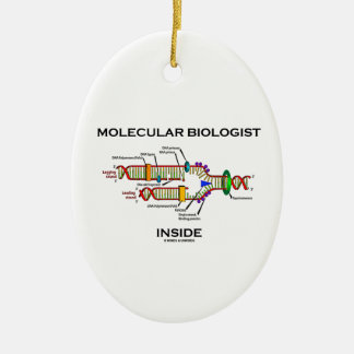 Adorno De Cerámica Interior del biólogo molecular (réplica de la DNA)