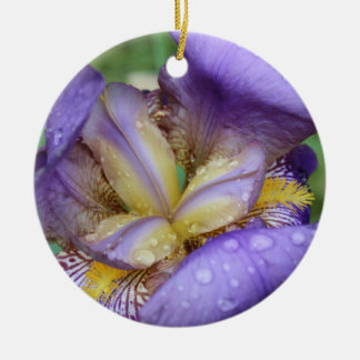 Adorno De Cerámica Iris morado (Iris Germanica)