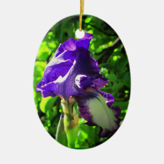 Adorno De Cerámica Iris púrpura en verano