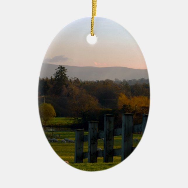 Adorno De Cerámica Irlanda es hermosa (Frente)