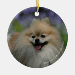 Adorno De Cerámica Jadeo de Pomeranian