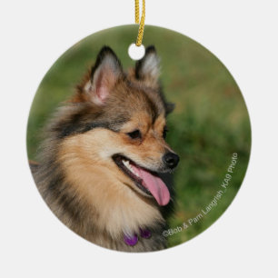 Adorno De Cerámica Jadeo del Headshot de Pomeranian