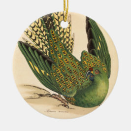 Adorno De Cerámica James Sowerby Ground Parrot, Psittacus terrestres