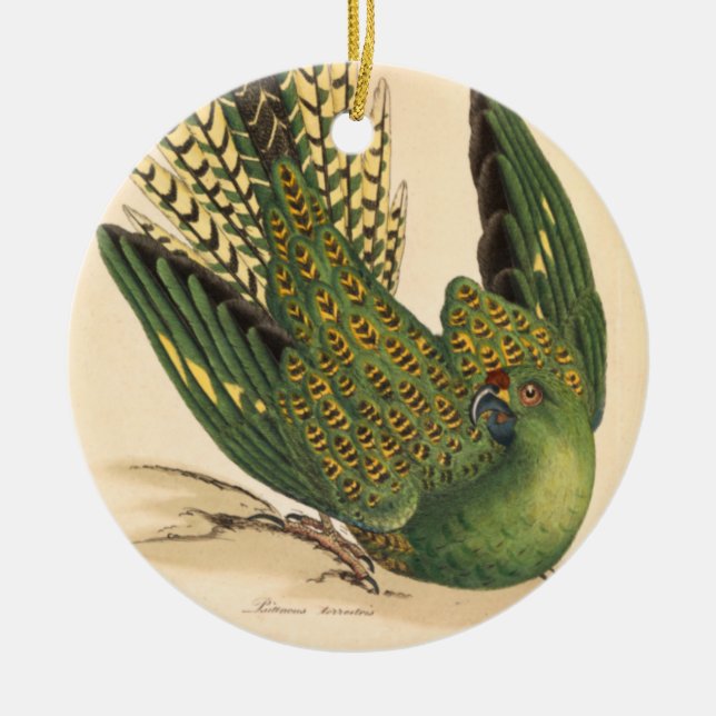 Adorno De Cerámica James Sowerby Ground Parrot, Psittacus terrestres (Frente)