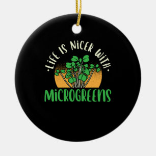 Adorno De Cerámica Jardinería - Vida con microvegetales