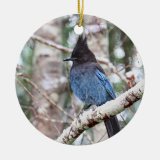 Adorno De Cerámica Jay de Steller