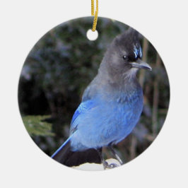 Adorno De Cerámica Jay Ornament de Steller