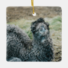 Adorno De Cerámica Jelly Baba