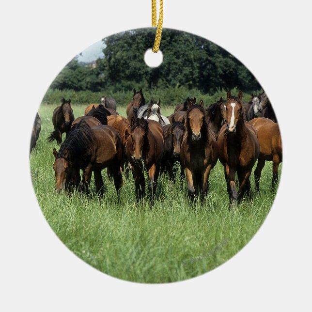 Adorno De Cerámica Jóvenes excelentes (Frente)