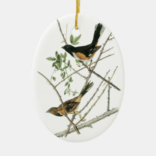 Adorno De Cerámica Juan Audubon Rufo-echó a un lado Towhee
