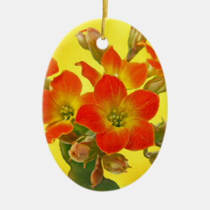 Adorno De Cerámica Kalanchoe Rojo - Suculento Sunshine