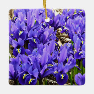 Adorno De Cerámica Katherine Hodgkin Iris Purple Spring Floral