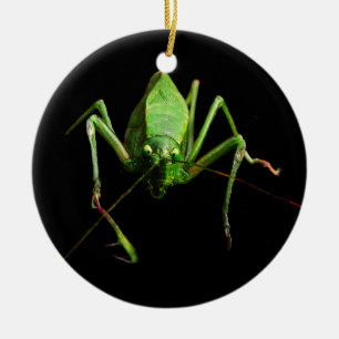 Adorno De Cerámica Katydid