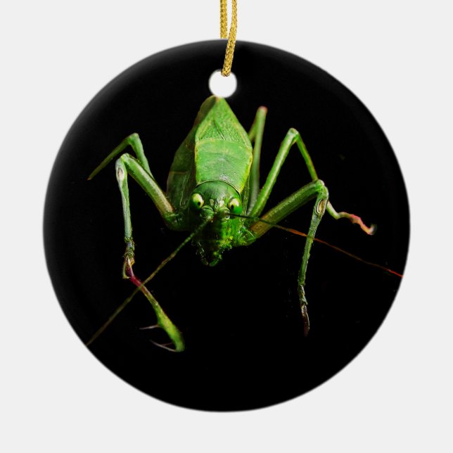 Adorno De Cerámica Katydid (Frente)