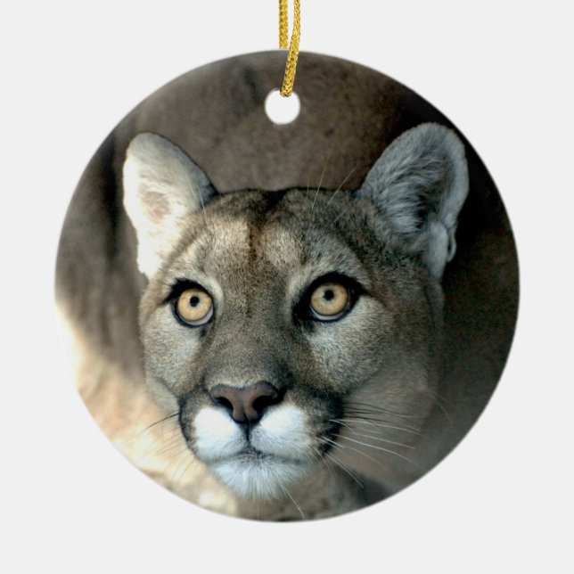 Adorno De Cerámica Kaya Ornament 2012 (Frente)