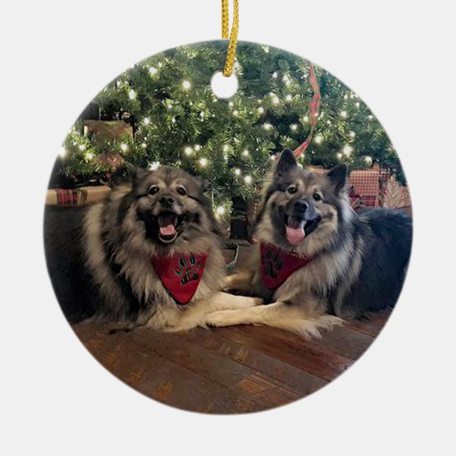 Adorno De Cerámica Keeshond con el árbol de navidad (Frente)