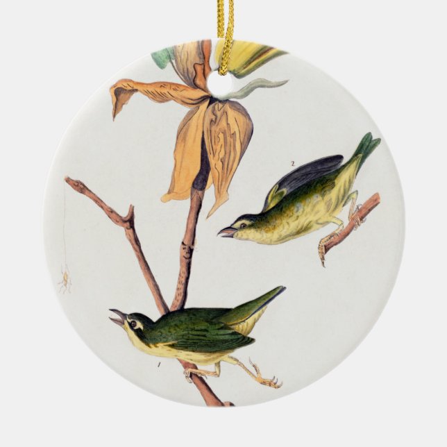 Adorno De Cerámica Kentucky Fly-Catching Warbler Birds Ilustracion (Frente)