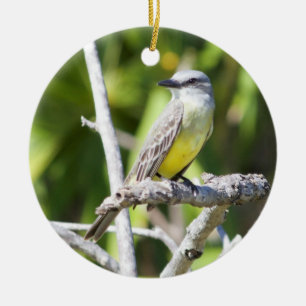 Adorno De Cerámica Kingbird de yucatán