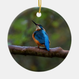 Adorno De Cerámica Kingfisher en una sucursal