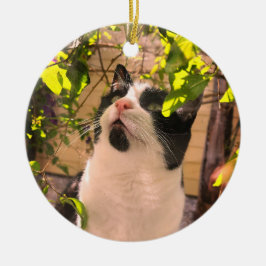 Adorno De Cerámica Kitty