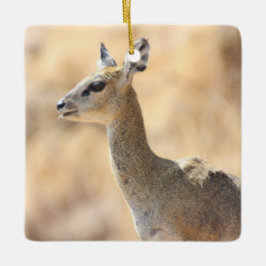 Adorno De Cerámica Klipspringer antelope