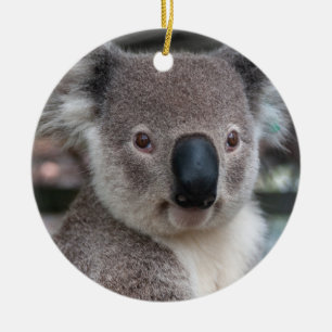 Adorno De Cerámica Koala Australian
