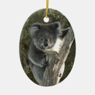 Adorno De Cerámica Koala linda que sube un árbol