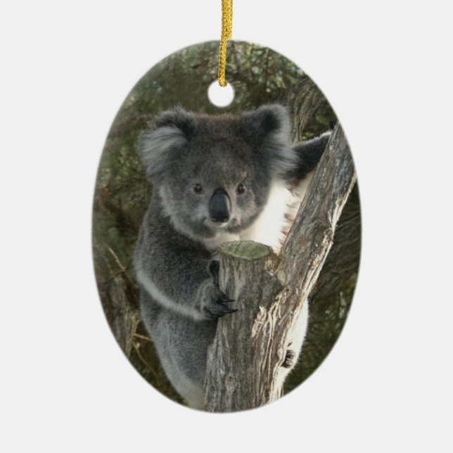 Adorno De Cerámica Koala linda que sube un árbol (Frente)