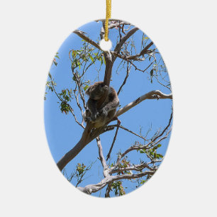 Adorno De Cerámica Koala Nap