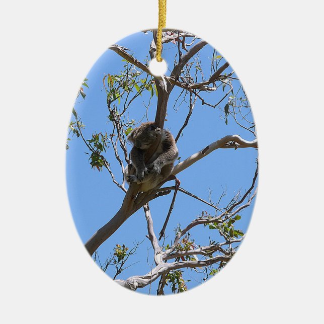 Adorno De Cerámica Koala Nap (Frente)