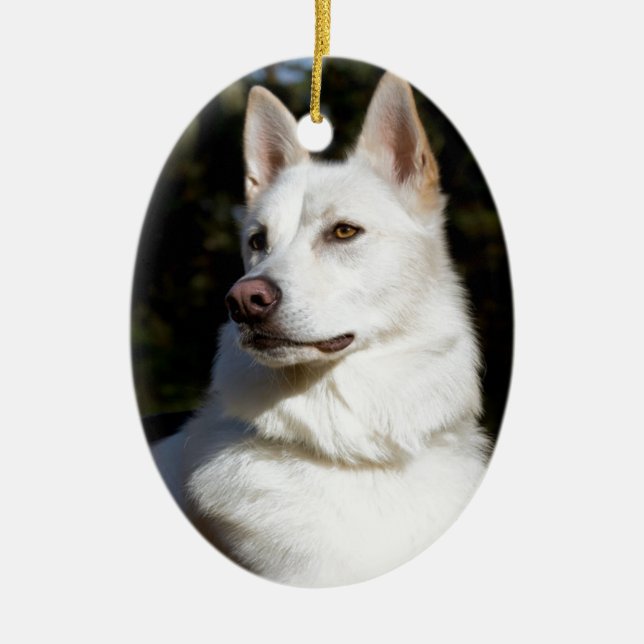 Adorno De Cerámica Kodah El Lobo Del Pastor Blanco (Frente)