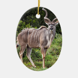 Adorno De Cerámica Kudu.