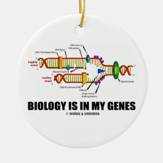 Adorno De Cerámica La Biología Está En Mis Genes (Replicación De ADN)