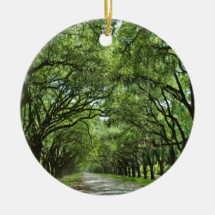 Adorno De Cerámica La encantadora Savannah Georgia