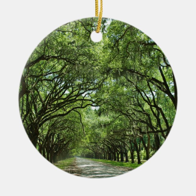 Adorno De Cerámica La encantadora Savannah Georgia (Frente)