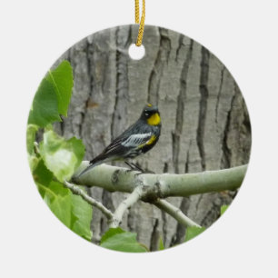 Adorno De Cerámica La fotografía de la naturaleza bárbara de Audubon